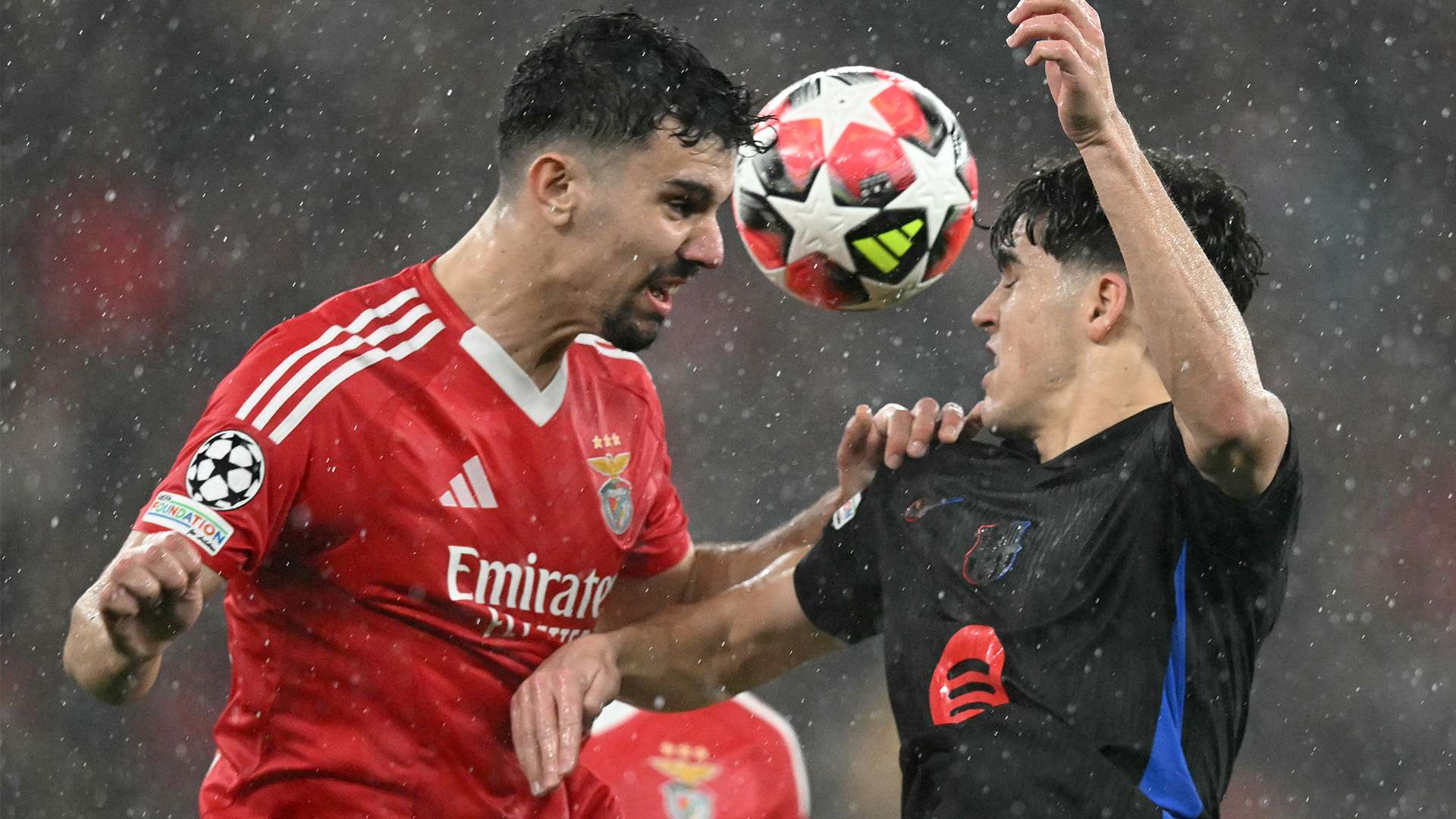 很多忠实球 很多忠实球