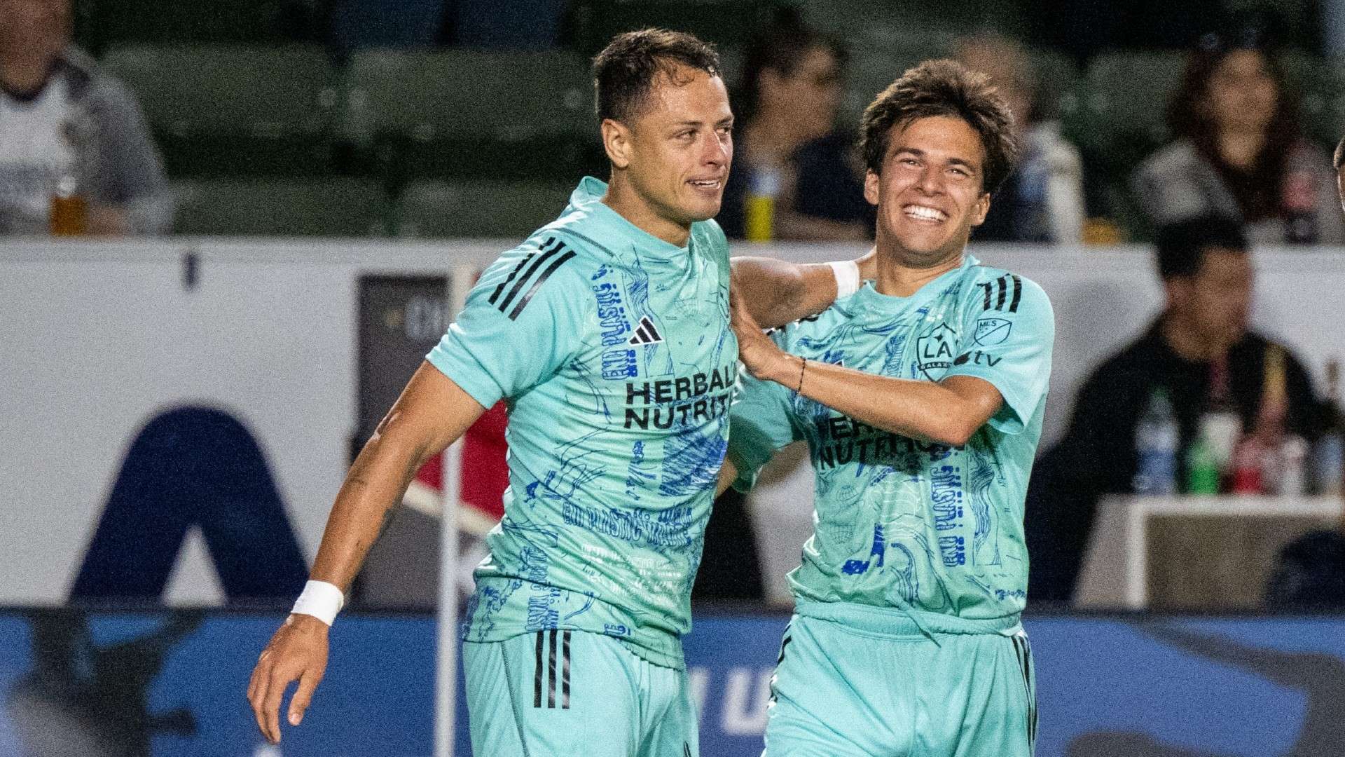 部分球迷可 部分球迷可