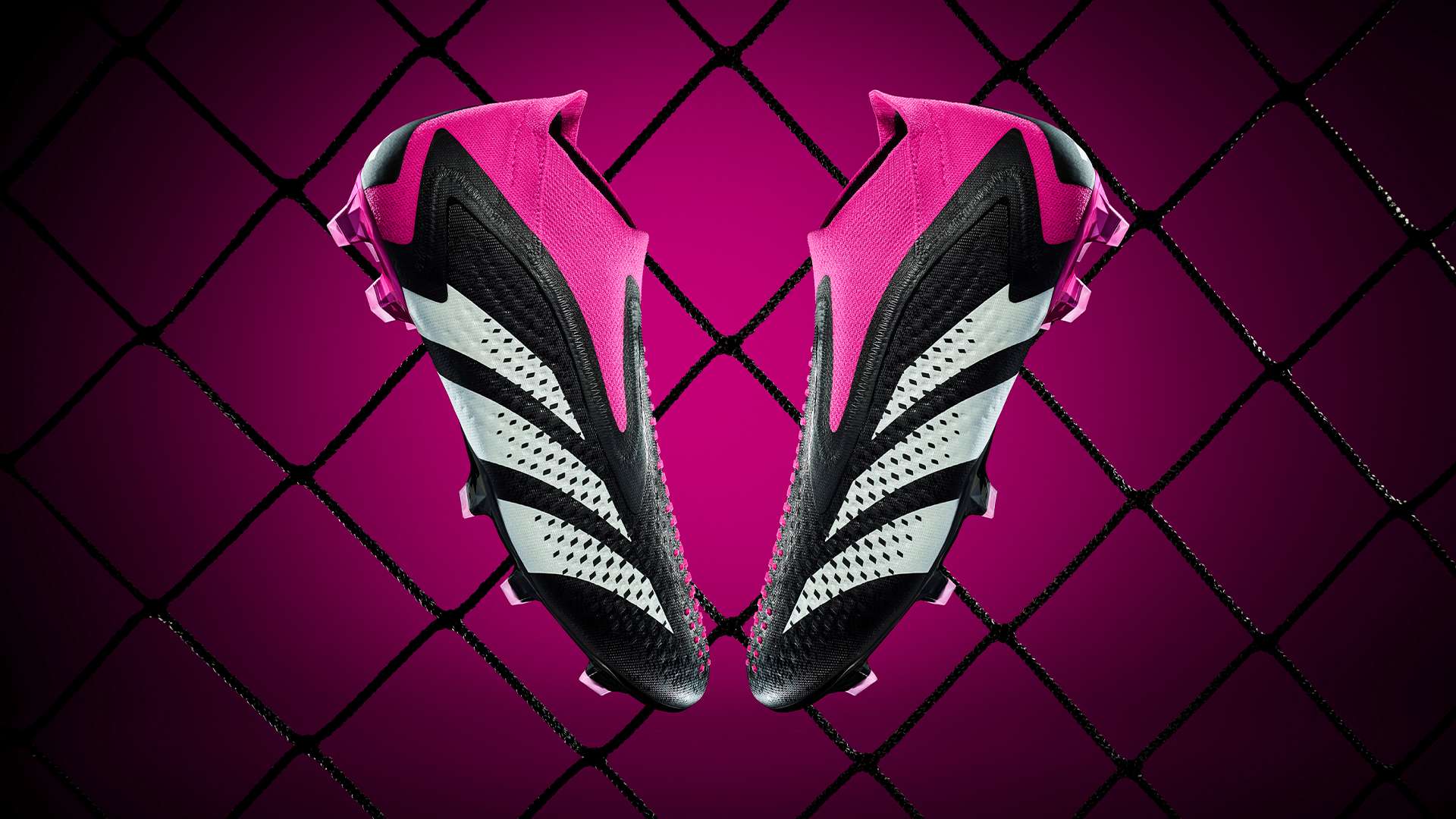 虽然未能进 虽然未能进